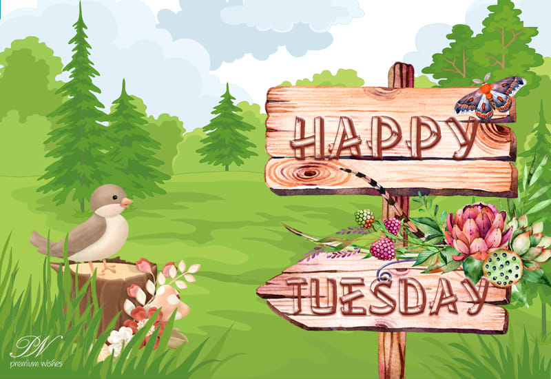 Happy Tuesday Friends - Enjoying The Chill? - Premium Wishes Happy Tuesday Friends - Enjoying The Chill? - Premium Wishes