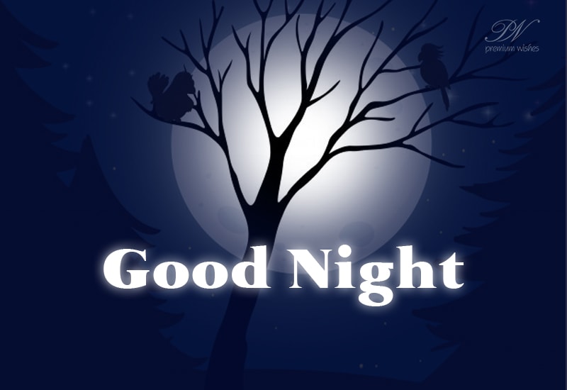 Good Night Rest Peacefully Sweet Dreams - Premium Wishes