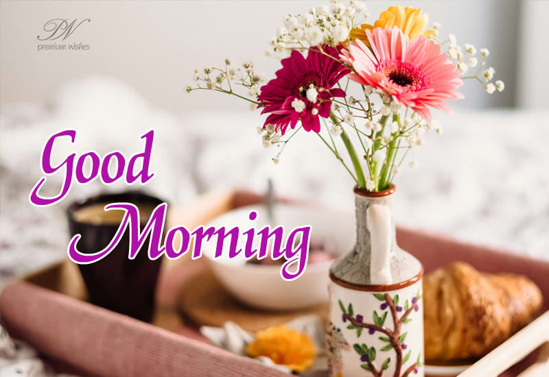 Good Morning Dear Friends - Premium Wishes