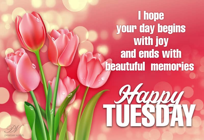 Beautiful Happy Tuesday Images Happy Tuesday - I Hope Your Day Begins With Joy And Ends With Beautiful  Memories - Premium Wishes