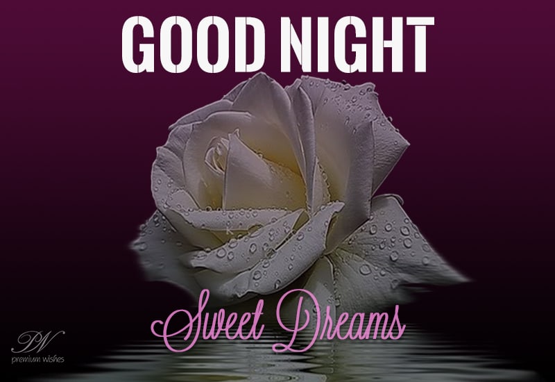 Good Night - sweet dreams - Premium Wishes