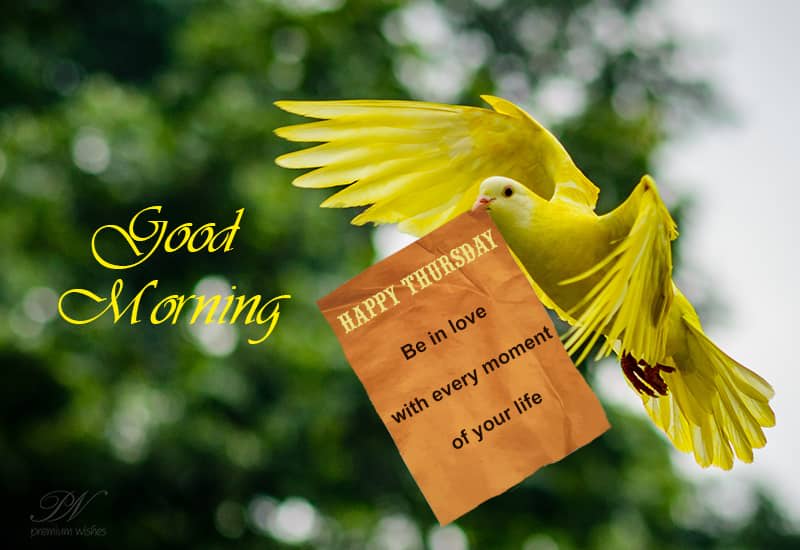 Happy Thursday Plant the seeds of happiness Premium Wishes
