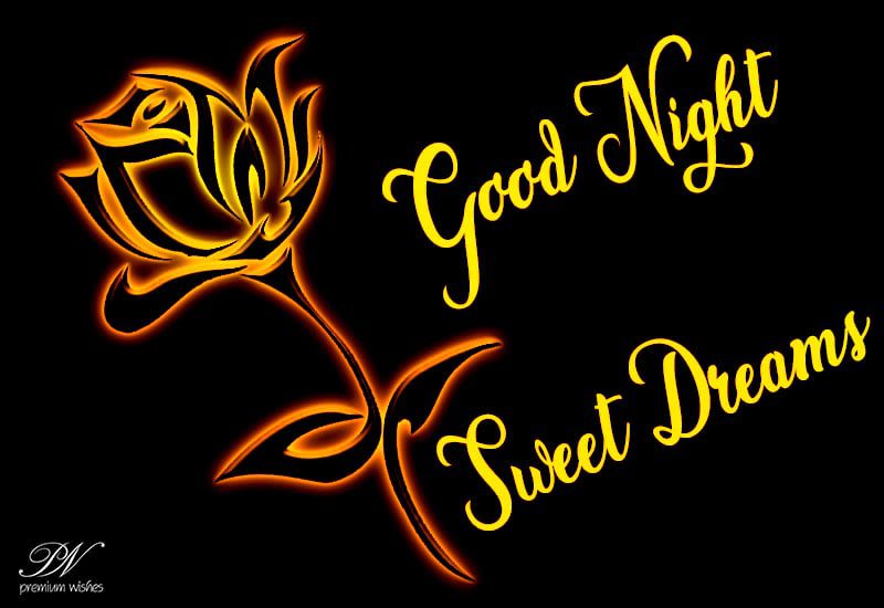 Good Night Sweet Dreams Wishes Premium Wishes