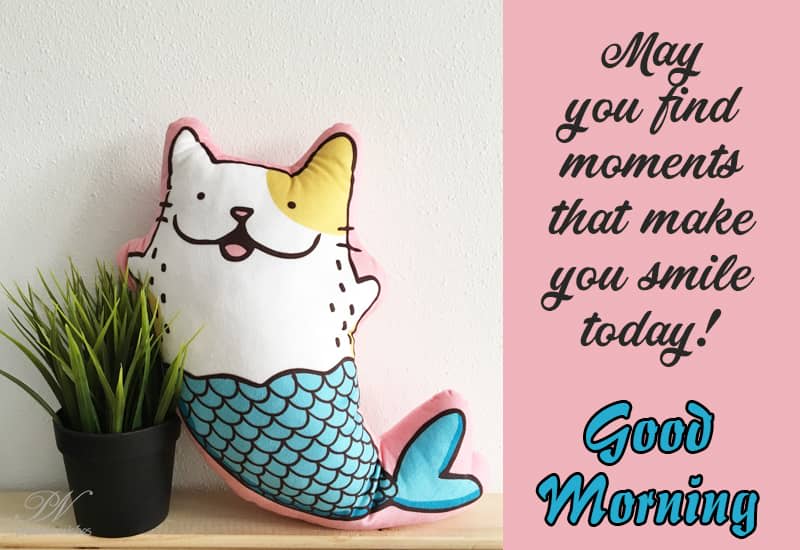 Good Morning - May you smile today - Premium Wishes