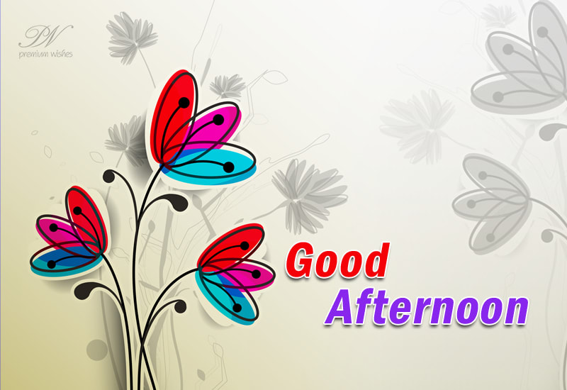 Good Afternoon - Have a fruitful afternoon ahead - Premium Wishes