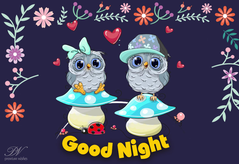 Good Night - Enjoy The Night Friends - Premium Wishes