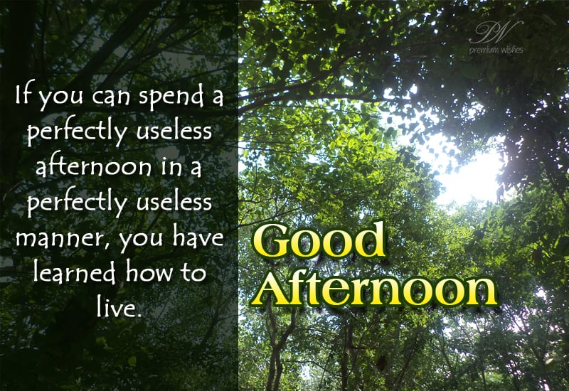 Good Afternoon - learn how to live - Premium Wishes