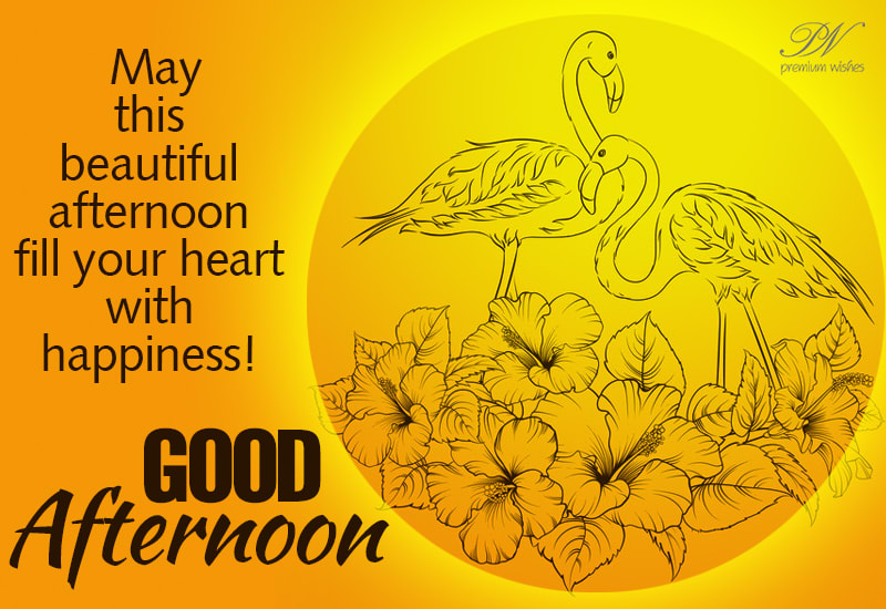 Good Morning - Be bright, sunny and positive - Premium Wishes