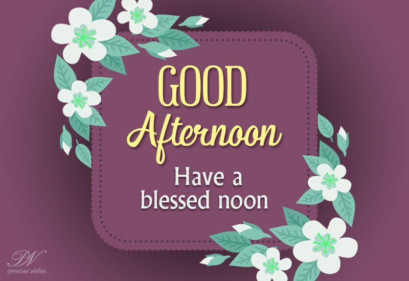 Good Afternoon Have A Blessed Noon Friends Premium Wishes Good Afternoon Have A Blessed Noon Friends Premium Wishes
