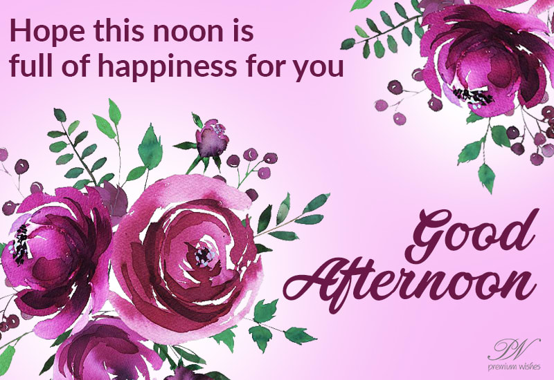 Hope this noon is full of happiness for you - Good Afternoon - Premium ...