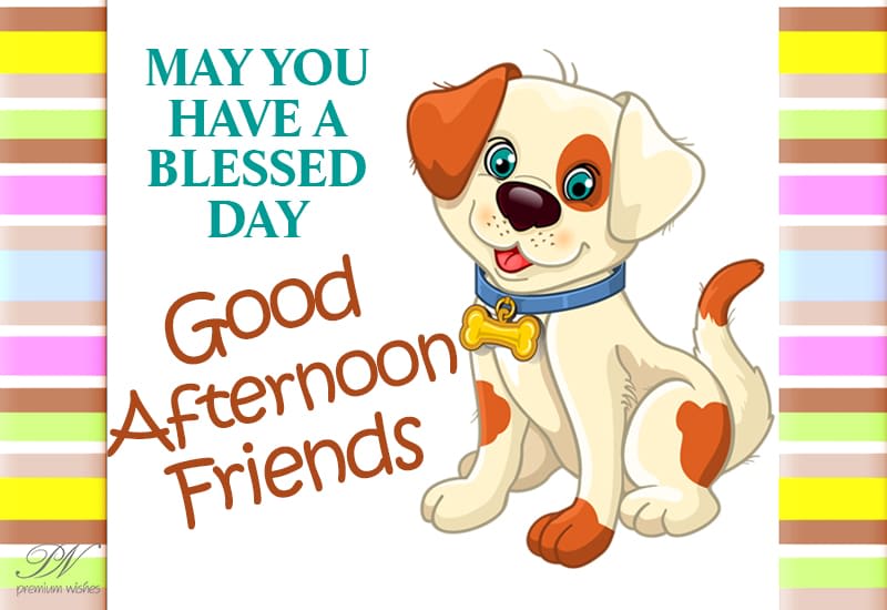 Good Afternoon Have A Blessed Day Good Afternoon - May You Have A Blessed Day - Premium Wishes