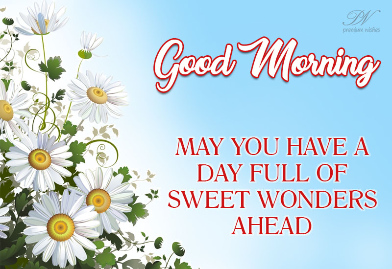 Good Morning - May you have a day full of sweet wonders ahead - Premium ...