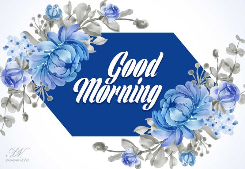 Good Morning Flowers For You to lift your mood up Premium Wishes