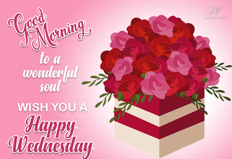 Tuesday Morning Wishes - Wish Morning