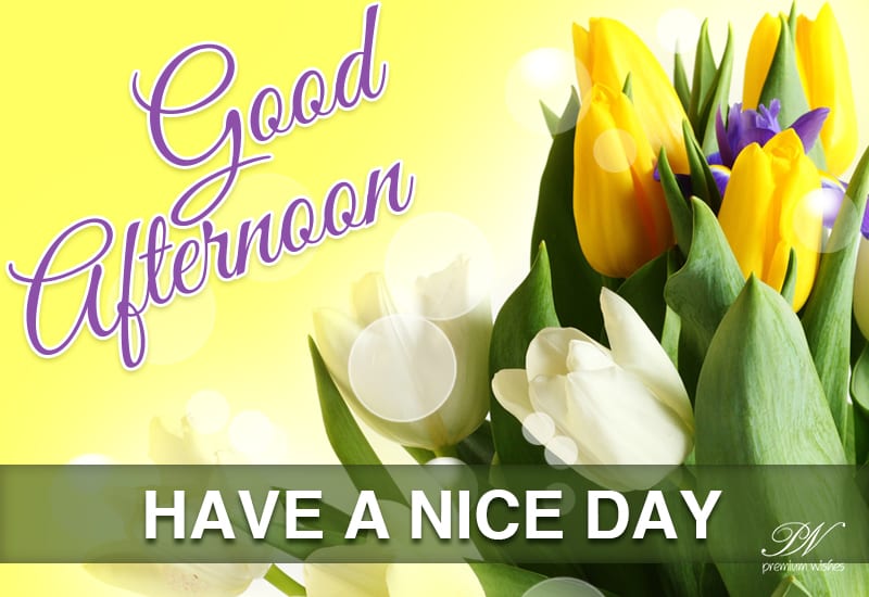 Good Afternoon Enjoy The Nice Day Premium Wishes Good Afternoon Enjoy The Nice Day Premium Wishes