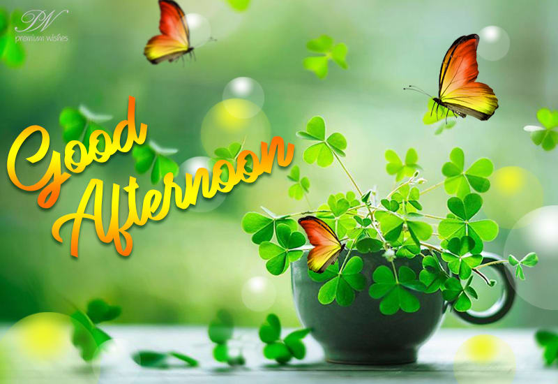 Good Afternoon - Be a part of nature and enjoy - Premium Wishes