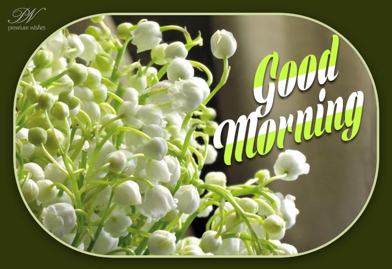 Flowers with good morning - Flowers with good morning