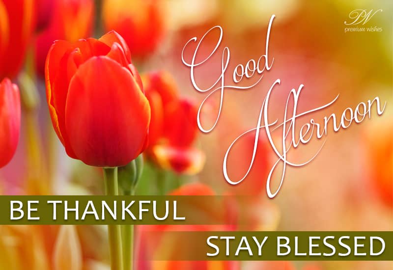 Good Afternoon Be Thankful And Stay Blessed Premium Wishes