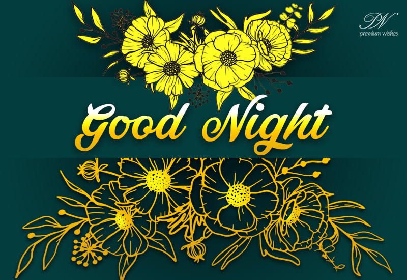 Good Night - Live Happily and Rest Fully - Premium Wishes