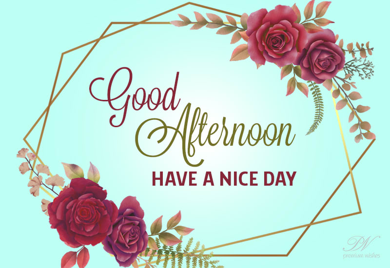 Have a nice and wonderful day - Good Afternoon - Premium Wishes