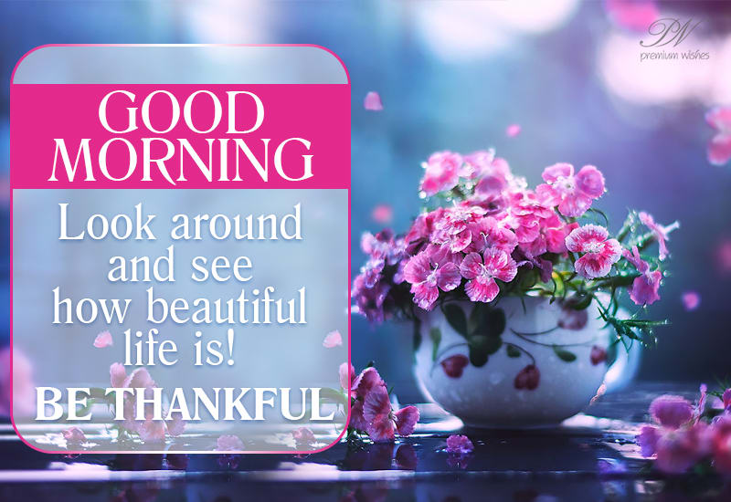 Good Morning - Look around and see how beautiful life is - Be Thankful ...