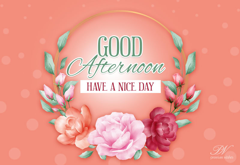Have a nice and wonderful day ahead - Good Afternoon - Premium Wishes