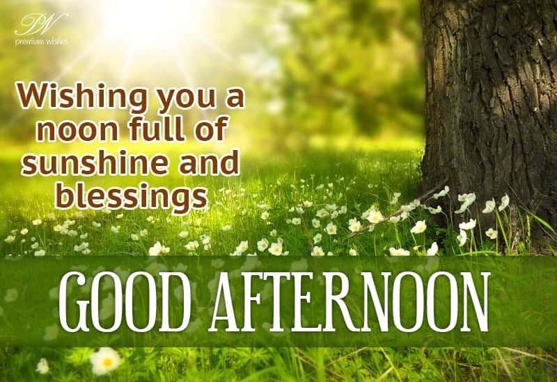 Good Afternoon Wishing You A Noon Full Of Sunshine And Blessings Premium Wishes Good Afternoon Wishing You A Noon Full Of Sunshine And Blessings Premium Wishes