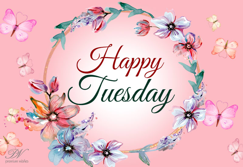 Happy tuesday Happy tuesday