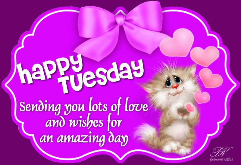 Tuesday Wishes - Page 4 of 13 - Premium Wishes Tuesday Wishes - Page 4 of 13 - Premium Wishes
