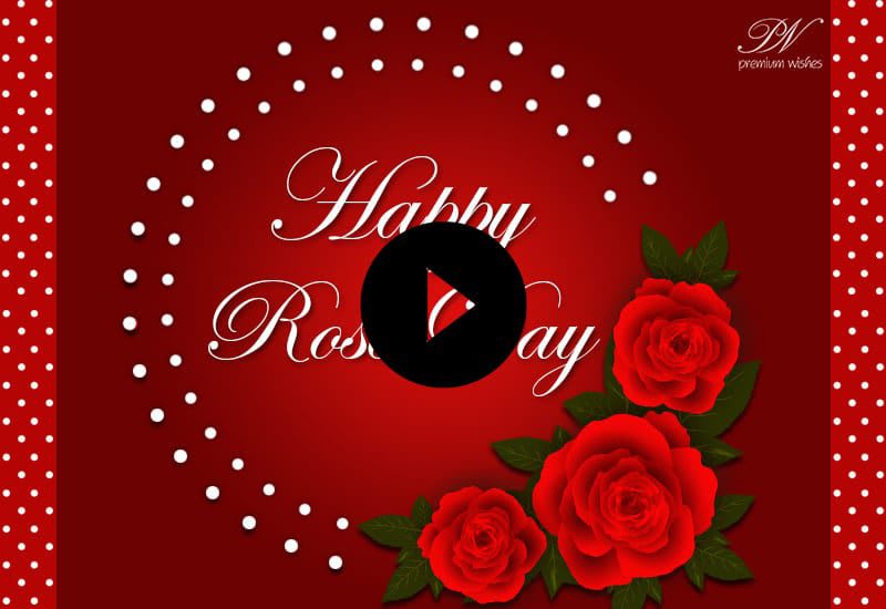 Rose Day WhatsApp Status Rose Day Video Happy Rose Day Greetings