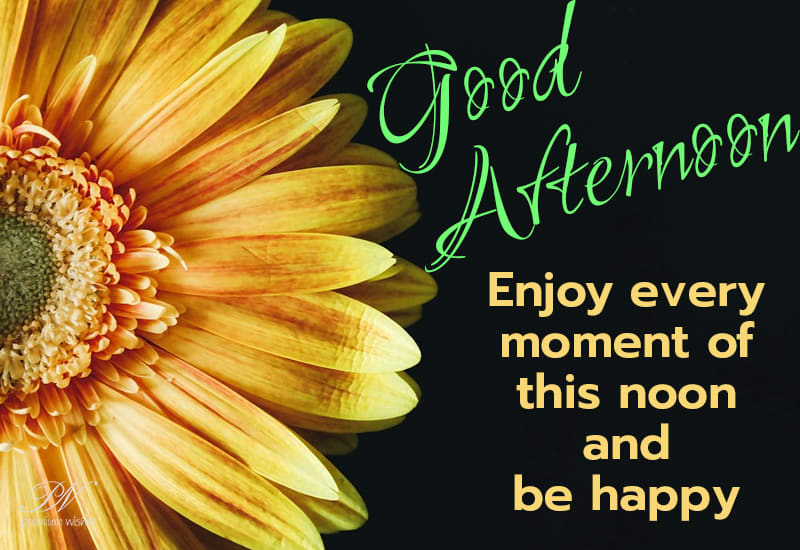 Good Afternoon - Enjoy every moment of this noon and be happy - Premium ...