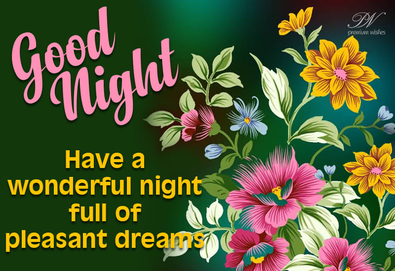 Good Night - Have a wonderful night full of pleasant changes - Premium ...