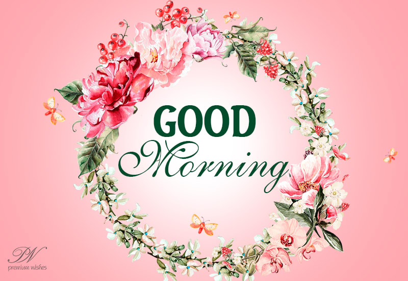 Good Morning - Enjoy the morning and have a great day ahead - Premium ...