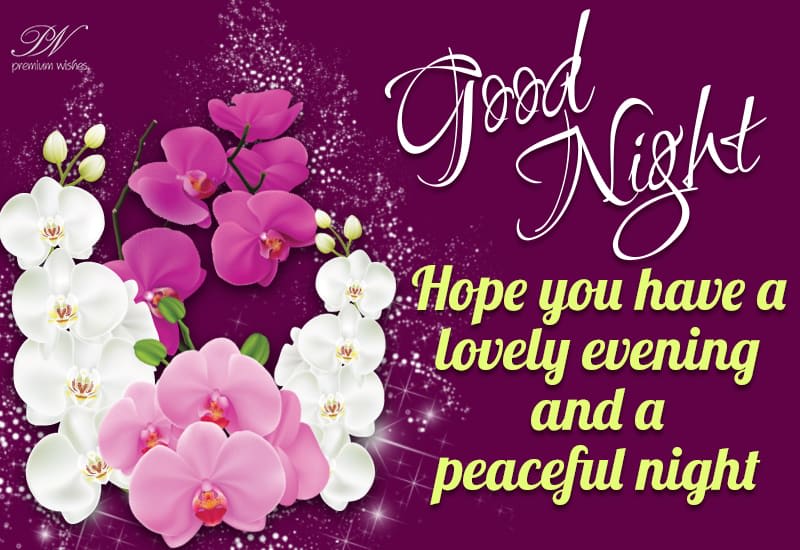 Good Night Hope You Have A Lovely Evening And Peaceful Night Premium Wishes Good Night Hope You Have A Lovely Evening And Peaceful Night Premium Wishes