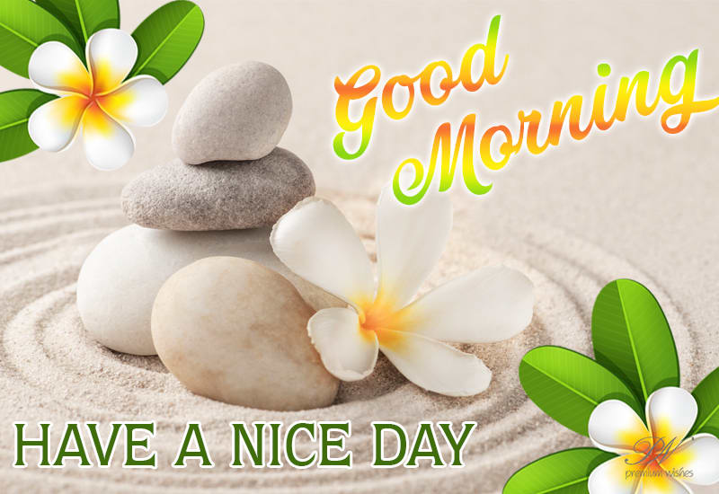 Good Morning - Have A Nice Day Ahead Friends - Hope You Have A Nice Time -  Premium Wishes