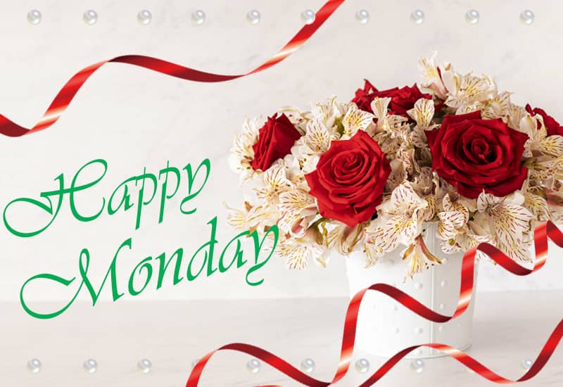 Happy Monday Roses For You - Good Morning - Premium Wishes