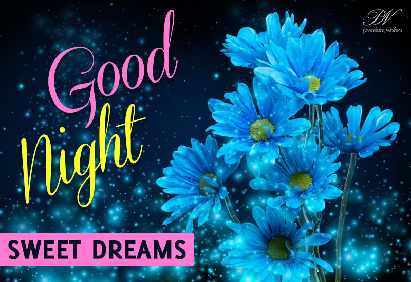 Good Night - Sweet Dreams - Sleep Well - Rest Fully - Premium Wishes