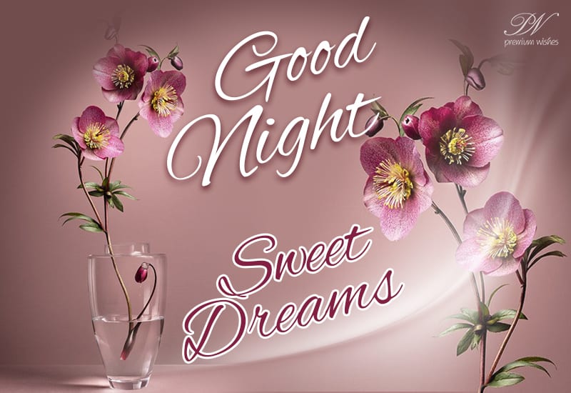 Good Night - Sweet Dreams - Enjoy the night among flowers - Premium Wishes