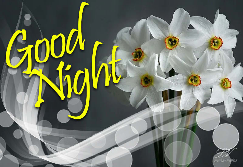 Good Night - Enjoy the flowers - Premium Wishes