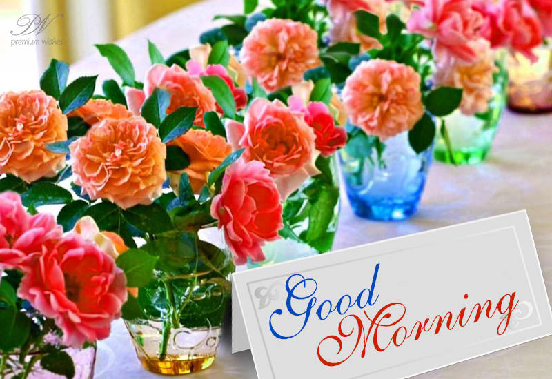 Flowers with good morning - Flowers with good morning