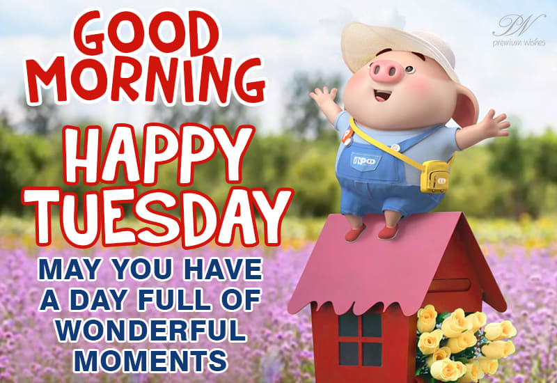 Good Tuesday morning! A good morning to all of you today!