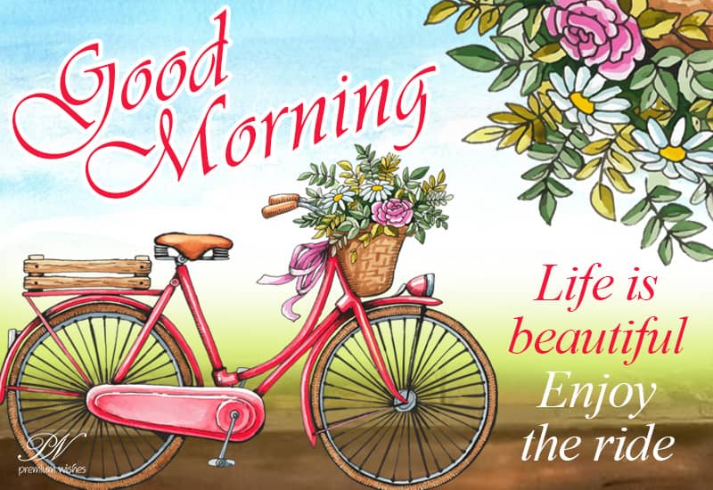Good Morning Life is beautiful Enjoy the ride Premium Wishes
