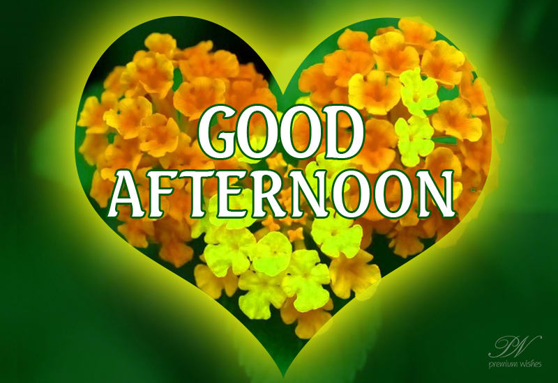 Good Afternoon Friends - Sending you lots of love - Premium Wishes