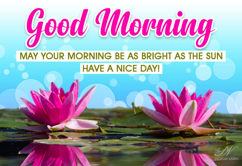 Good Morning - Be bright, sunny and positive - Premium Wishes