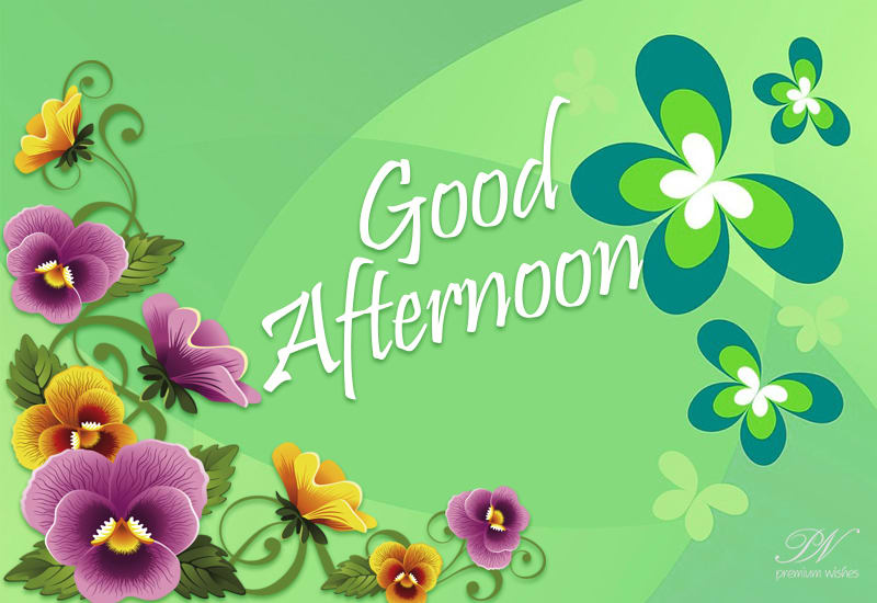 Good Afternoon Wishes - Premium Wishes