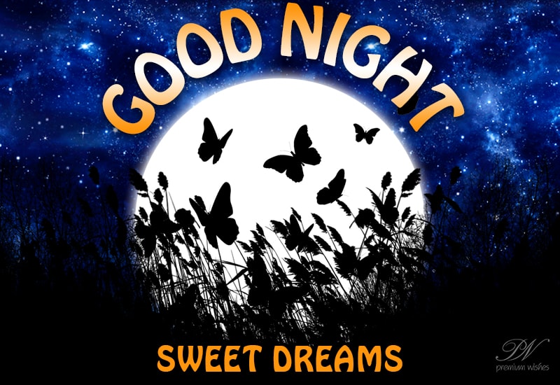 good night sweet dreams Ithempulethi