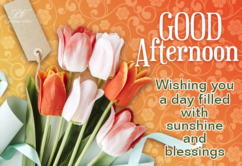 Good Afternoon Wishing You A Day Filled With Sunshine And Blessings Premium Wishes Good Afternoon Wishing You A Day Filled With Sunshine And Blessings Premium Wishes