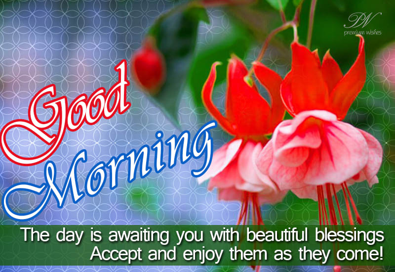 Good Morning - The day is awaiting you with beautiful blessings. Accept ...