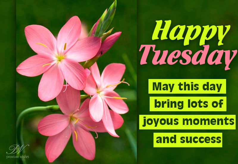 Happy Tuesday - May This Day Bring Lots Of Joyous Moments And Success -  Premium Wishes