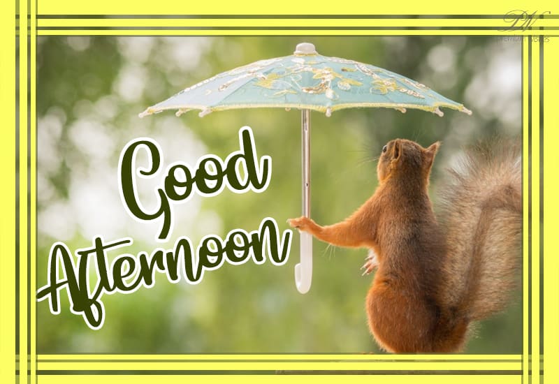 Friends Good Afternoon - Rest In the Shade - Premium Wishes Friends Good Afternoon - Rest In the Shade - Premium Wishes